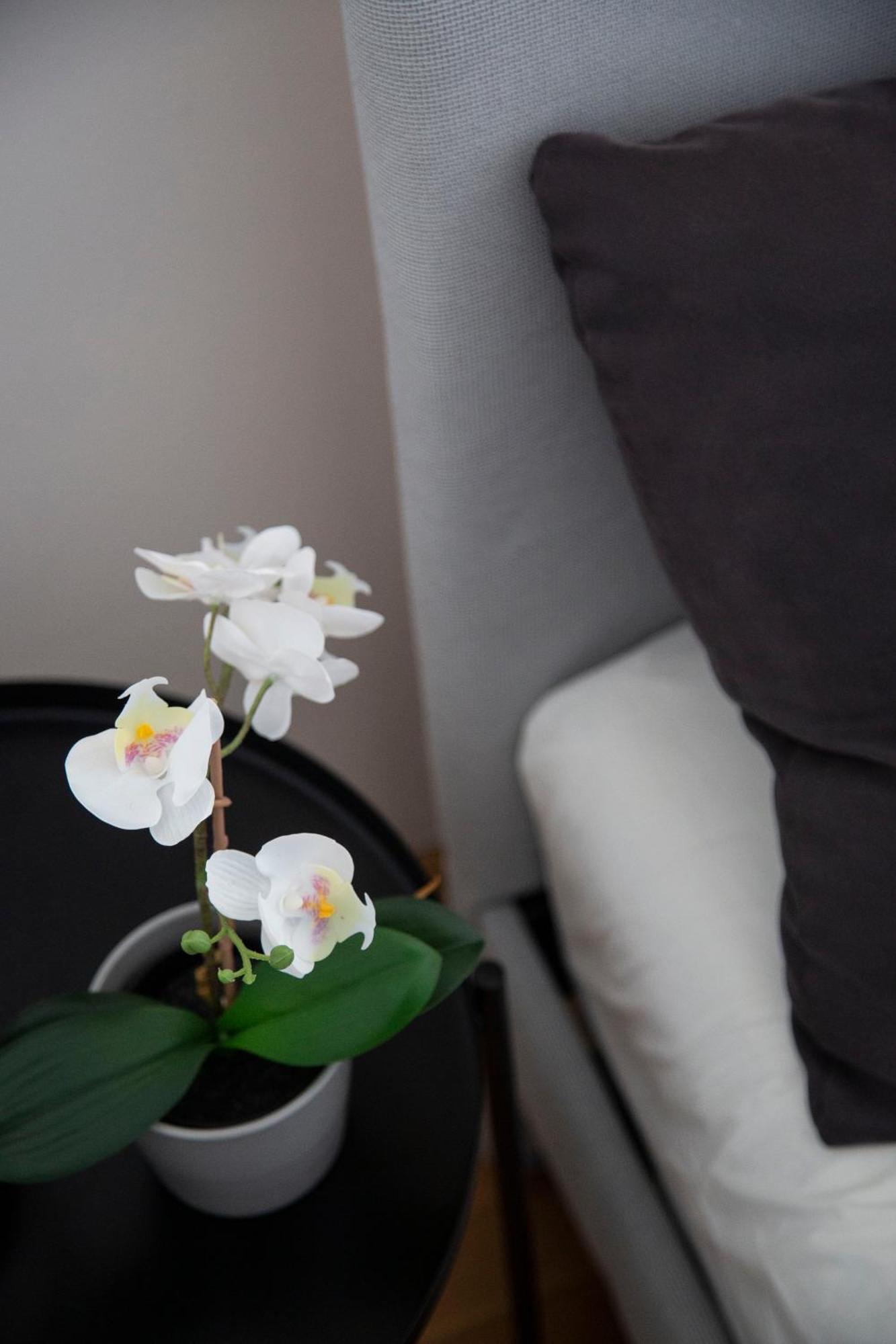 Apartamento Downtown Cozy In The Gozsdu Garden